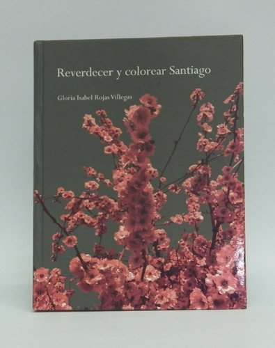 Libros Reverdecer Y Colorear Santiago/ Ecología Nativa   