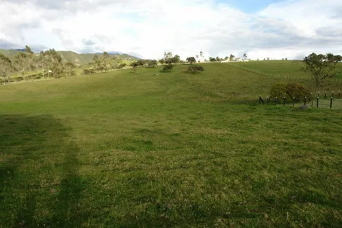 Lote En Venta En La Calera. Cod V14689