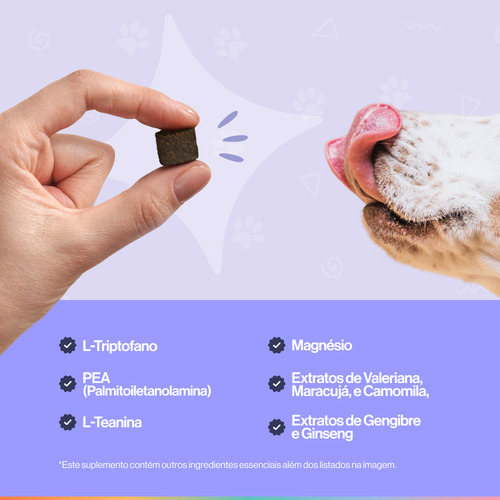 Tranquilo & Calmo - Suplemento Para Cães - Buddy Nutrition