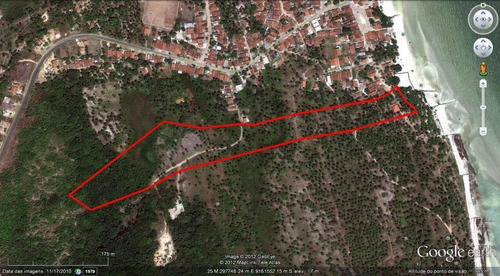 Imagem 1 de 8 de Sítio À Beira Mar Em Carne De Vaca Com 45100m² - 4,51 Hectares Por R$ 1.300.000 - Carne De Vaca - Goiana/pe - Te0016
