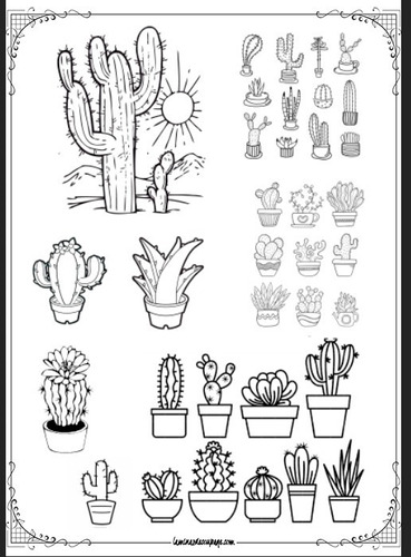 Cactus #01! Lámina Para Transferencias 21 X 29 Cm Suculentas