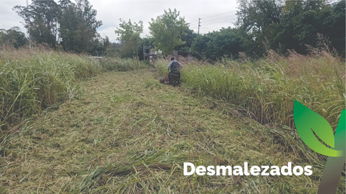 Desmalezados Y Corte De Pasto Grandes Superficies