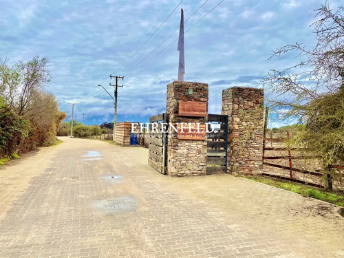 Terreno Construccion  En Venta En Limache
