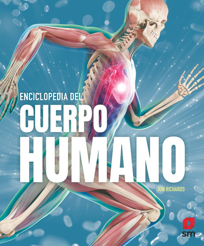 Enciclopedia Del Cuerpo Humano - Richards, Jon -(t.dura) - *