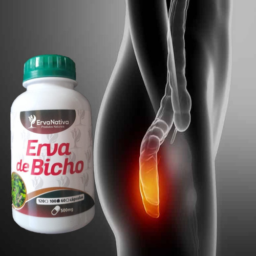Remedio De Hemorroidas Verizes Veias Combo+chá Sabor Neutro