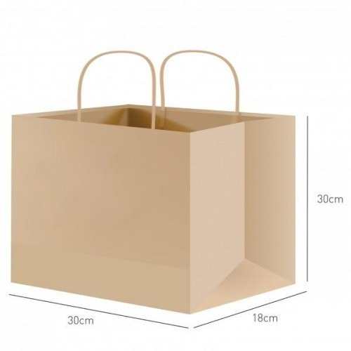 Sacola Papel 30x30x18cm 2050 Kraft Natural 50 Unidades