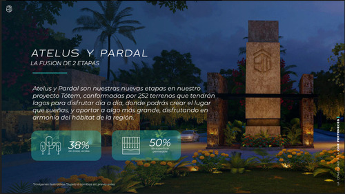 Terrenos En Venta Con Club De Playa En Celestún Yucatán