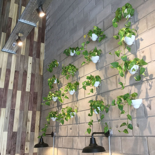Maceta Con Soporte De Pared