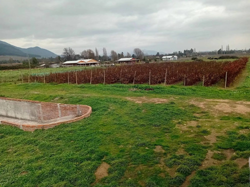 Venta De Parcela Con Casa, Piscina Y Producción Frutal Mol