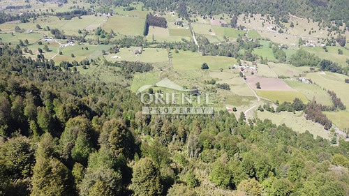 Vive En Un Paraíso Natural En Malalcahuello
