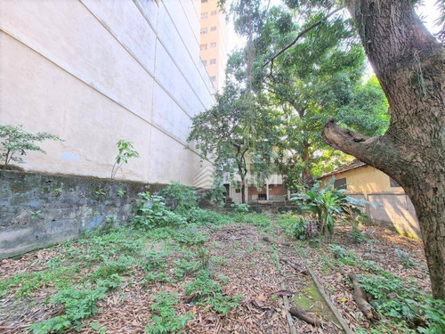 Imagem 28 de 30 de Casa Com 4 Dormitórios À Venda, 161m² De Terreno. - Ca0709