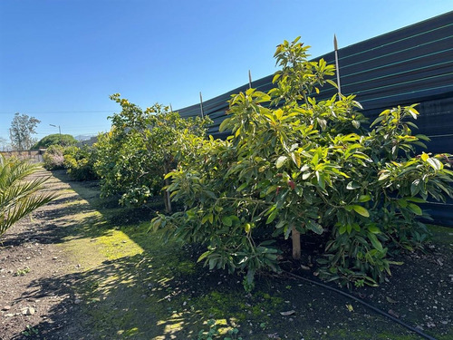 Hermosa Parcela Con 2 Casas En Venta De 5d 3b En Quillota