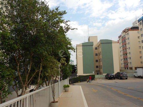 Imagem 16 de 25 de Apartamento À Venda Em Vila Proost De Souza - Ap002829