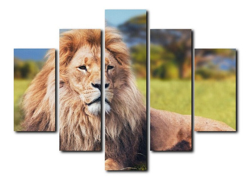 Cuadro Decorativo Canvas 5pz 120x80 Leon Sentado