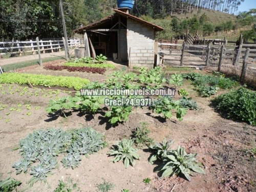 Imagem 6 de 15 de Chacara - Jardim Bela Vista - Ref: 4285 - V-ch0004