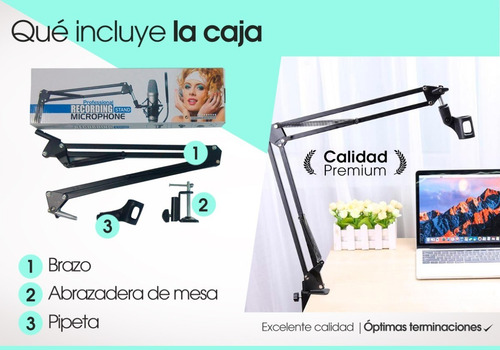 Imagen 8 de 10 de Soporte Microfono Mesa Pie Brazo Articulad + Filtro Anti Pop