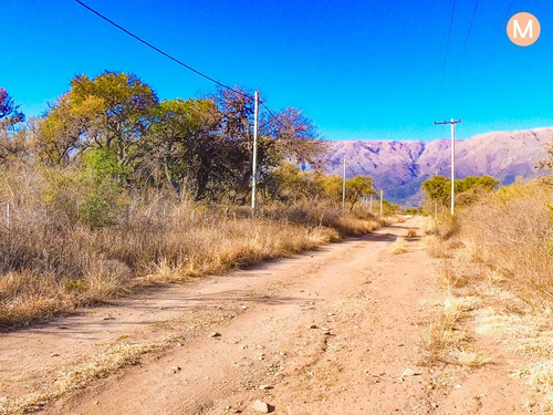 Imagen 2 de 8 de Terreno En Venta En Altos De Carpintería
