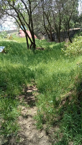 Privada De Galeana S/n, San Miguel Xicalco, Tlalpan
