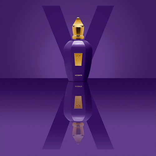 Perfume Unisex Marca Xerjoff Accento 100 Ml Edp
