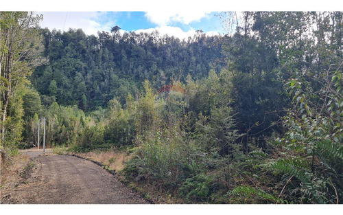 Parcela Con Bosque Nativo En Puerto Varas