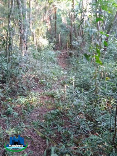 Chácara Com 3 Dormitórios À Venda, 11000 M² Por R$ 580.000,00 - Condomínio Bothanica Jarinu - Jarinu/sp - Ch0025