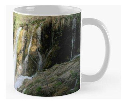 Taza Cascadas Calidad Premium