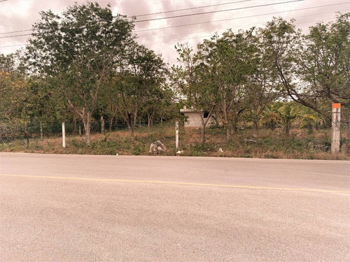 Imagen 4 de 7 de Venta De Terreno