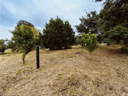 Se Venden Lotes En Quimbaya - Quindío