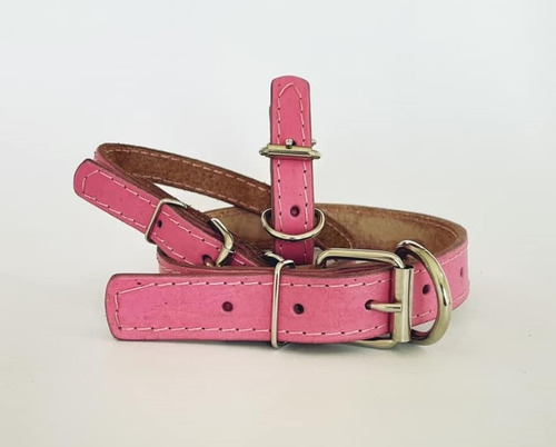 Conjunto De Collares Para Perros - 1 Xch, 1 M Y 3 Chs - Rosa