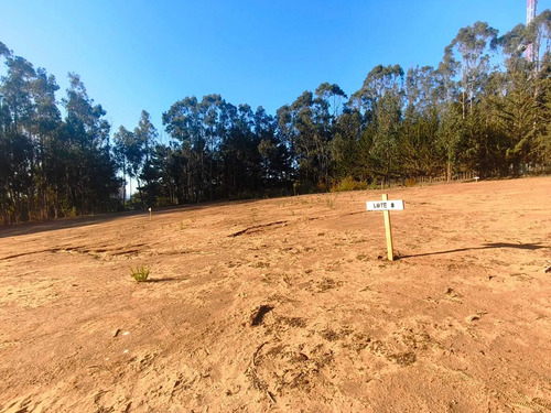 Oportunidad Única De Inversion Desde 600 M² (177693)