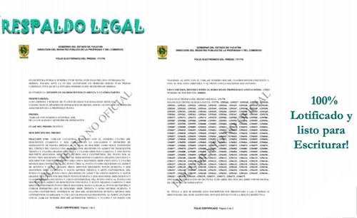 Imagen 8 de 9 de Lote De Inversión Alantra