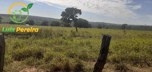 Imagem 6 de 7 de Fazenda À Venda Em Figueirão - Ms - De 1.003 Hectares (pecuária) - 1684