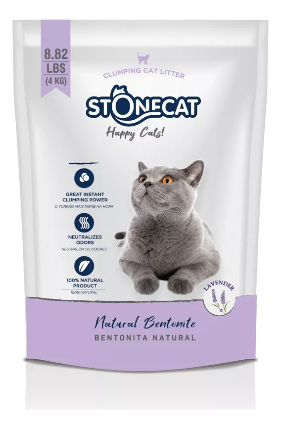 Primera imagen para búsqueda de stone cat