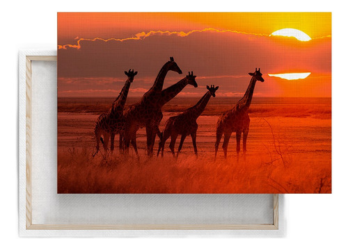 Cuadro Decorativo Animales Atardecer Manada De Jirafas Canva