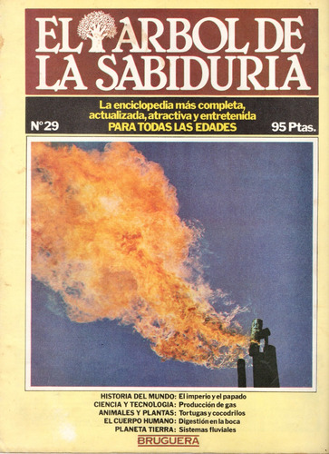 Fascículo Enciclopedia El Árbol De La Sabiduría Nº 29