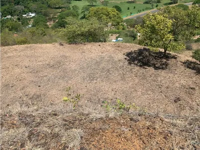 Lote y casalote en venta