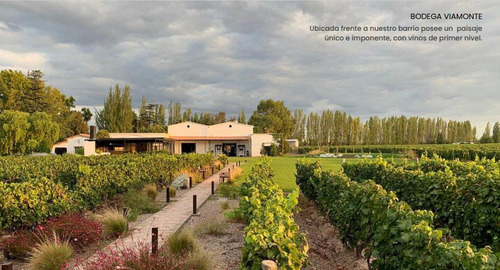 Lote En Venta Chacras De Coria - Parque Isla En Proyecto Qvattro Viamonte - Mendoza