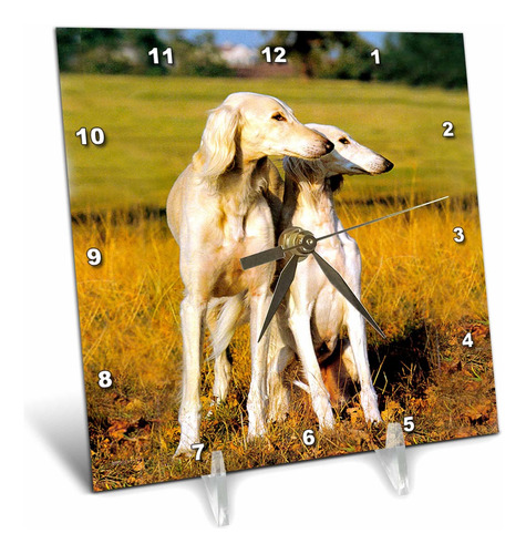 3drose Saluki Desk Clock, 6 Por 6 Pulgadas