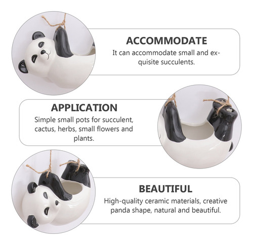 A+ Maceta Colgante Para Bonsáis Con Forma De Panda