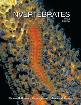 Invertebrates - Richard C. Brusca (hardback)