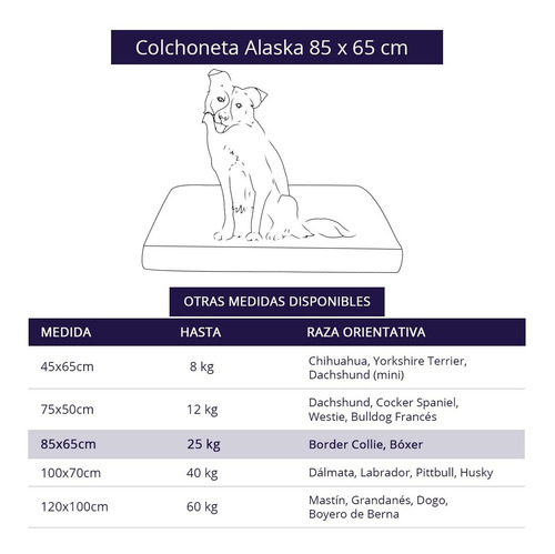 Imagen 3 de 8 de Cama Colchoneta Para Perros Medianos Lola Pets Alaska 85x65