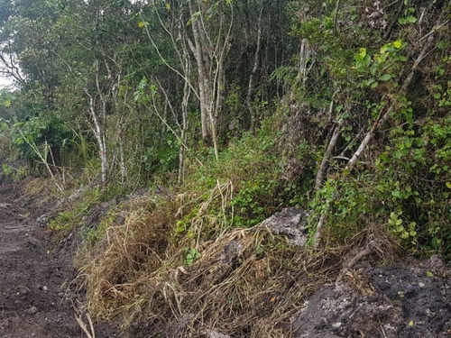 Imagem 1 de 9 de Terreno Na Praia Com 231 M², Em Itanhaém/sp Ter042-pc