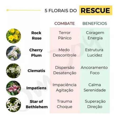 Rescue Kids Gotas 10ml Floral De Bach