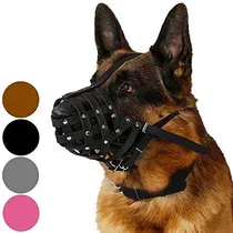 Comprar Collardirect Perro Bozal Pastor Aleman Dalmata Doberman Se