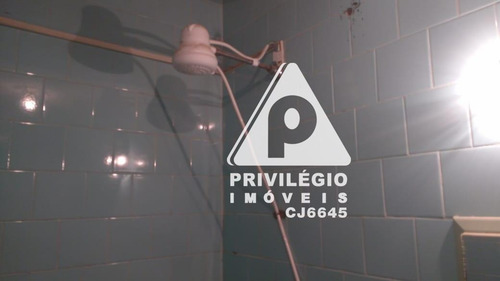 Apartamento Para Aluguel, 1 Quarto, Laranjeiras - Rio De Janeiro/rj - 29489