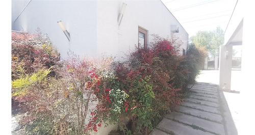 Vendo Parcela Con 5 Dorm. En Agarrobal Ii/chicureo