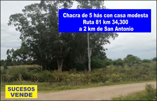 Imagen 1 de 12 de Chacra A La Venta - A 2 Km De San Antonio - 5 Hás