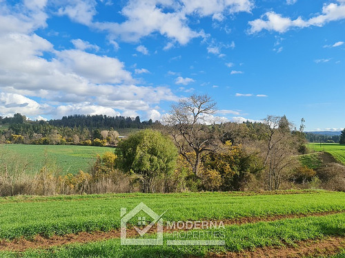 Campo 78 Ha En Traiguén Entre Rios