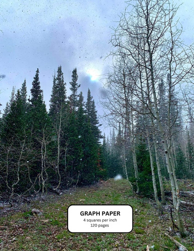 Libro: Winter Road Graph Paper Notebook: Early Season Snow K