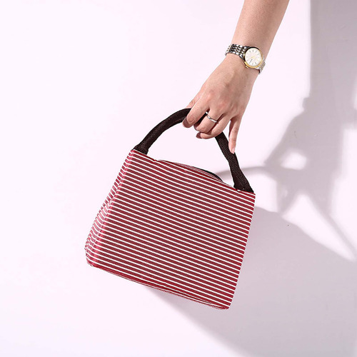 Bolsa De Almuerzo Aislante T Storage Box Para Mujer, Compact